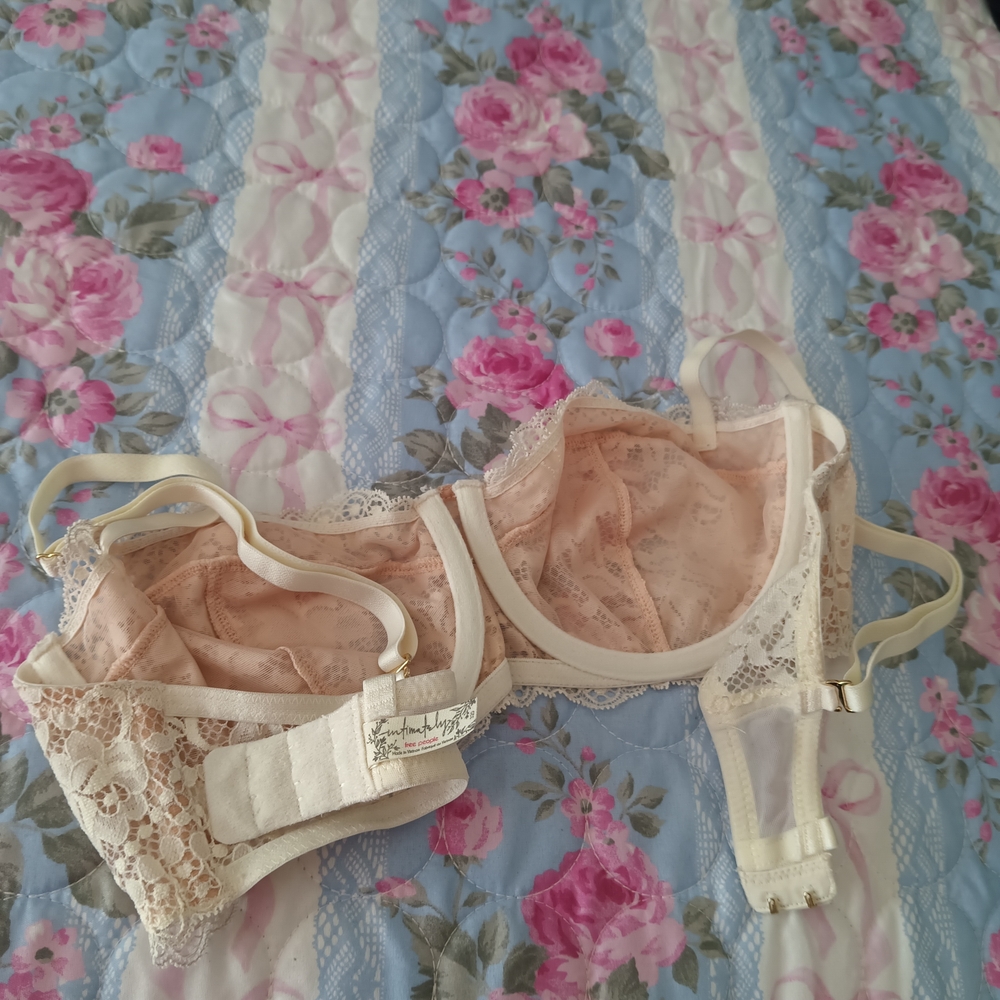 Free People Blush Lace Balconette Bra - Picture 3 of 4